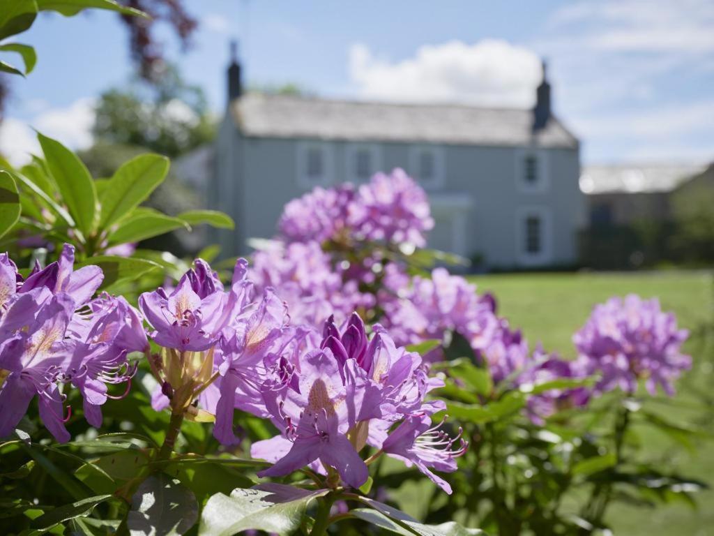 5 Bed In Loweswater Sz424 Lorton 外观 照片